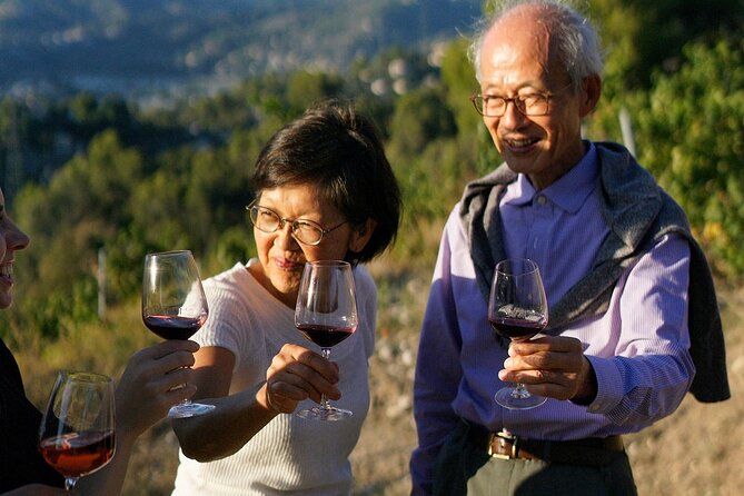 Vineyard Tour with Wine Tasting within Nice city borders - What to Bring: Small Details That Matter at the Vineyards