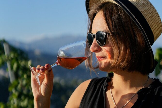 Vineyard Tour with Wine Tasting within Nice city borders - Who This Tour Fits Best in Your Nice Itinerary