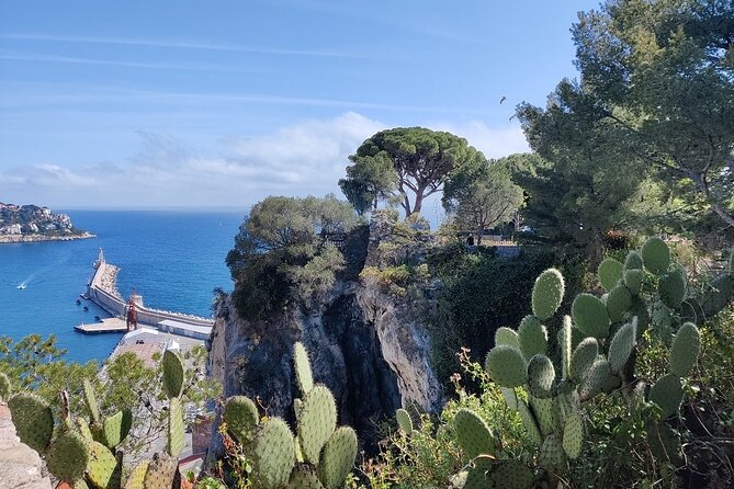 Visit Nice in 2h with Local Certified Guide - Panoramas from the east side: Port Lympia and Mont Boron