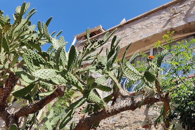 Visit of the Medieval Village of Èze - What you are really paying for: $42.80 and the value of guided time plus garden entry