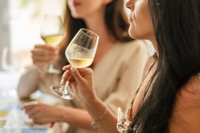 Wine Tasting Class: Tour de France in Nice City Centre - A 2-Hour Tour de France Wine Class in Nice City Centre